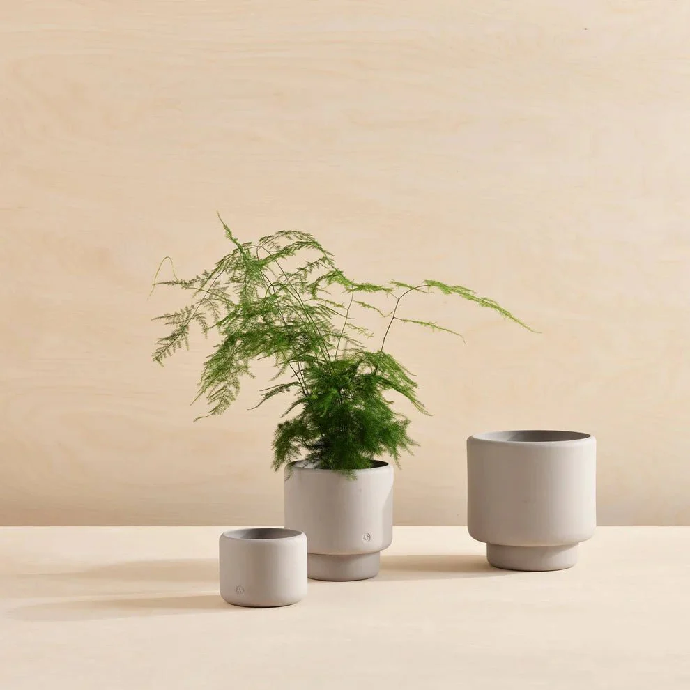 Aaron Probyn Botany Plant Pot Concrete Grey - (Medium 15cm) - Image 2