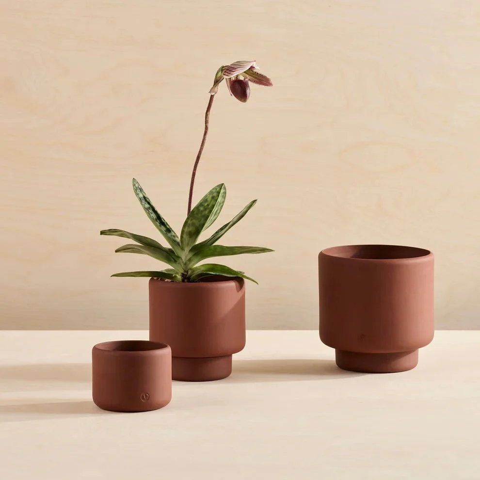 Aaron Probyn Botany Plant Pot - Dark Terracotta (Medium 15cm) - Image 3