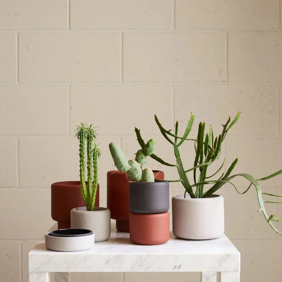 Aaron Probyn Botany Plant Pot - Graphite Black (Medium - 15cm) - Image 5