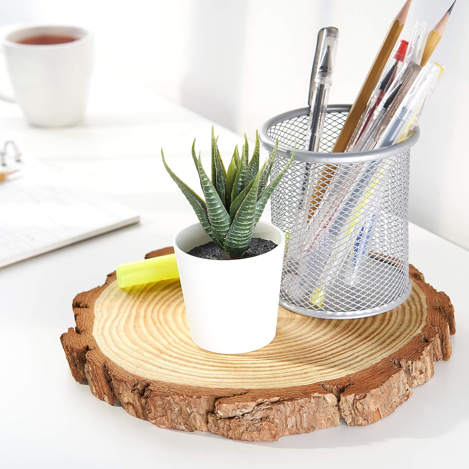 Arteza Natural Wood Art Slices - 8 Pieces (20-23cm Diameter) - Image 3