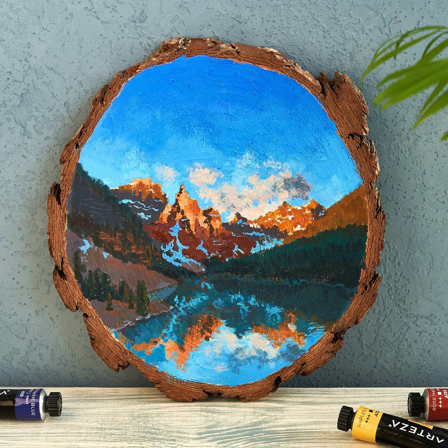 Arteza Natural Wood Art Slices - 8 Pieces (20-23cm Diameter) - Image 4