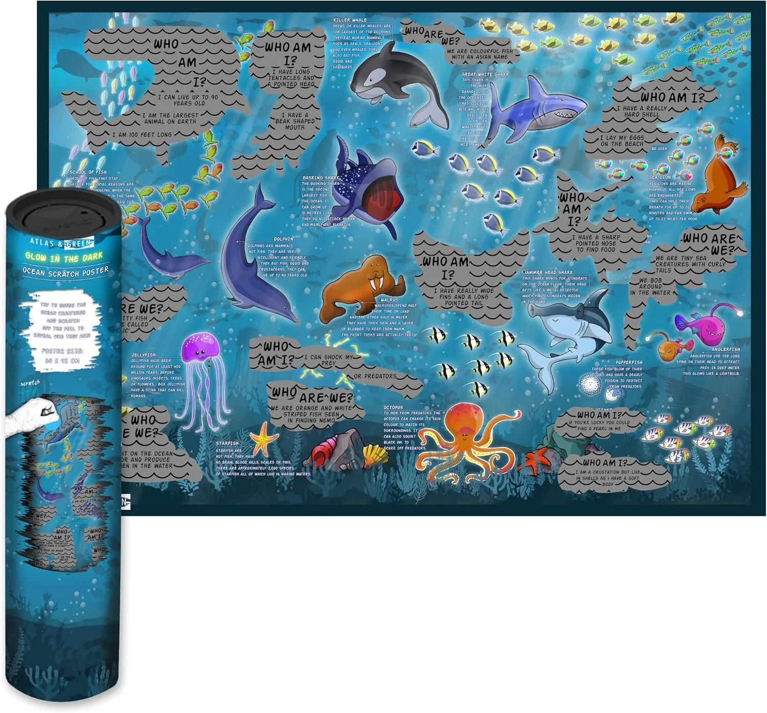 Atlas & Green Glow in the Dark Ocean Scratch Poster for Kids