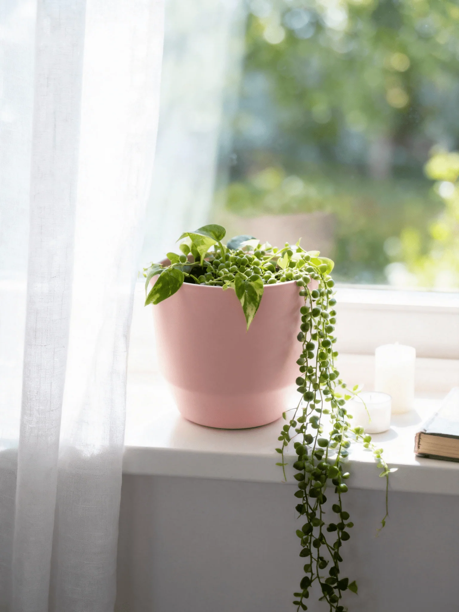 Ceramic Pink Pot - Fits up to 12cm Plant Pots - Image 2