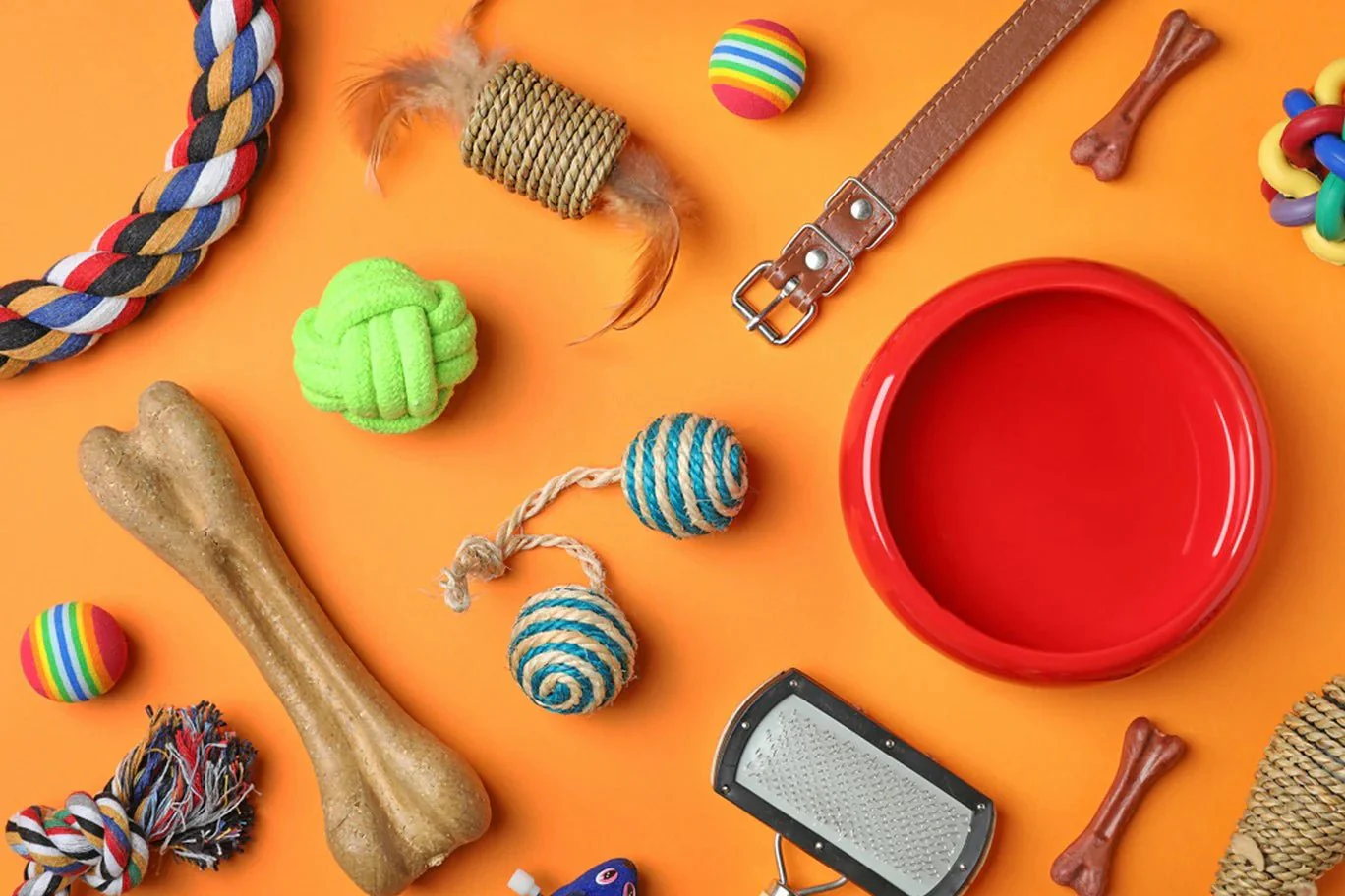 Dog Mystery Box - Toys, Collars, Leads and more (Various Sizes) - Image 3