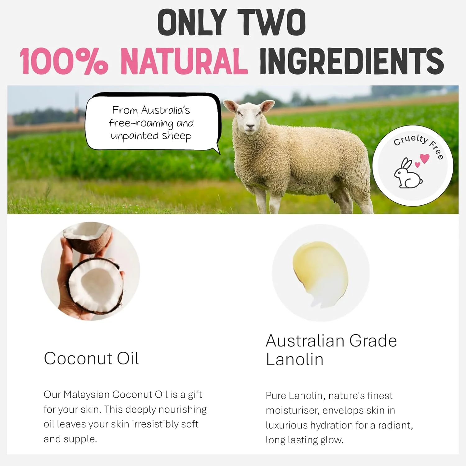 Dr.Lipp BFF Balm - Face, Hand, Foot & Body Butter - 100% Natural - Image 5