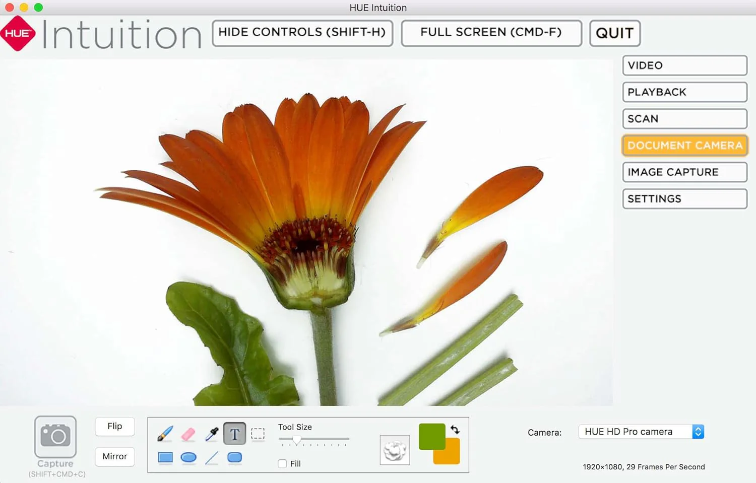 HUE HD Pro Flexible USB Video and Document Camera/Visualiser (Blue) - Image 5