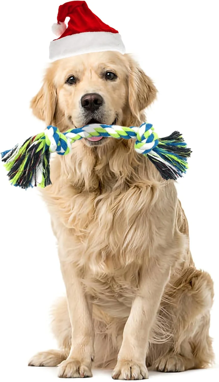 Indestructible Dog Rope Toys (2 Pack) - Small to Medium Dog - Image 2