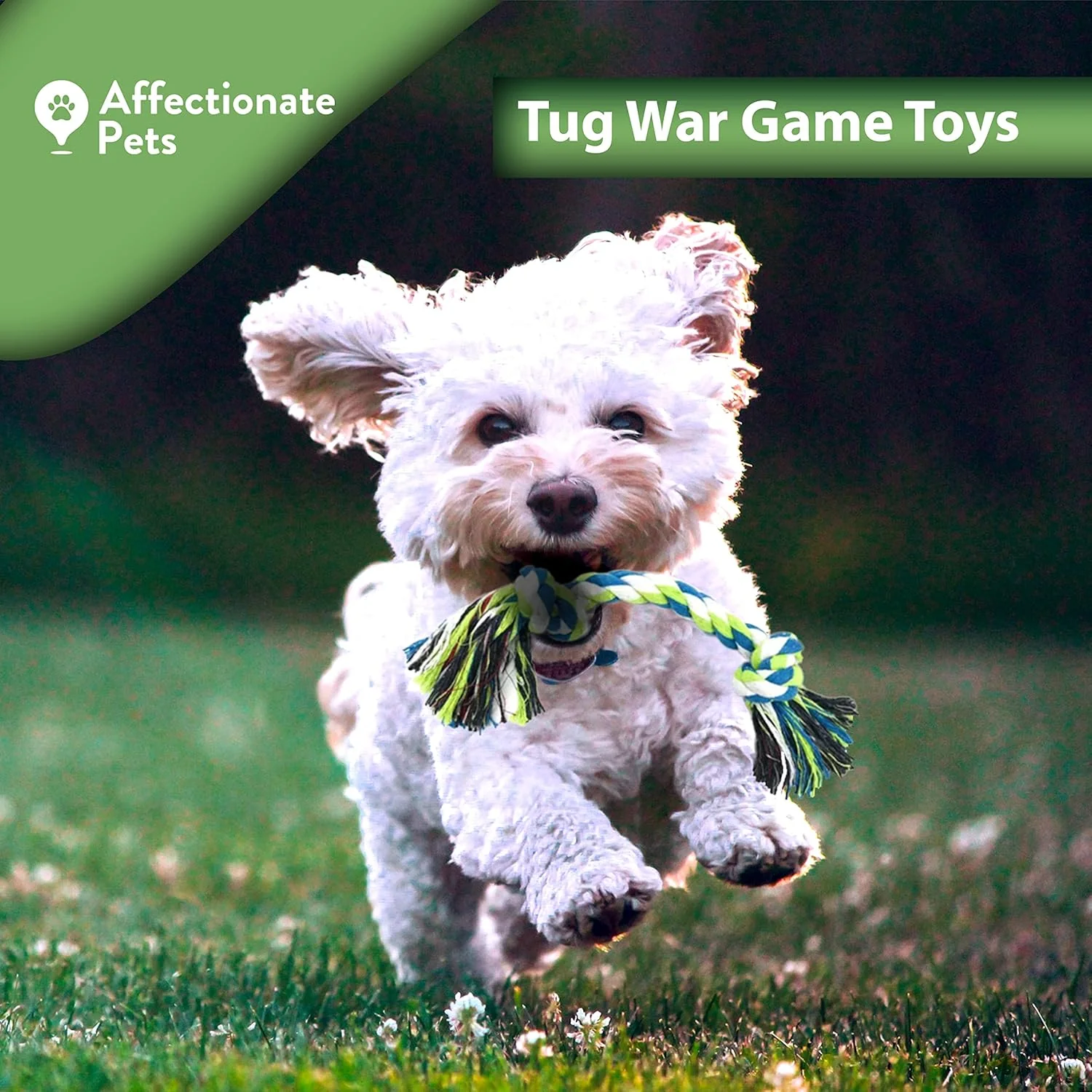 Indestructible Dog Rope Toys (2 Pack) - Small to Medium Dog - Image 8