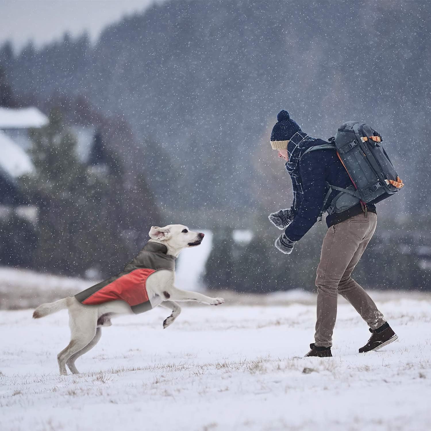 IREENUO Waterproof Dog Rain Coat for Small Medium Dog - Image 5