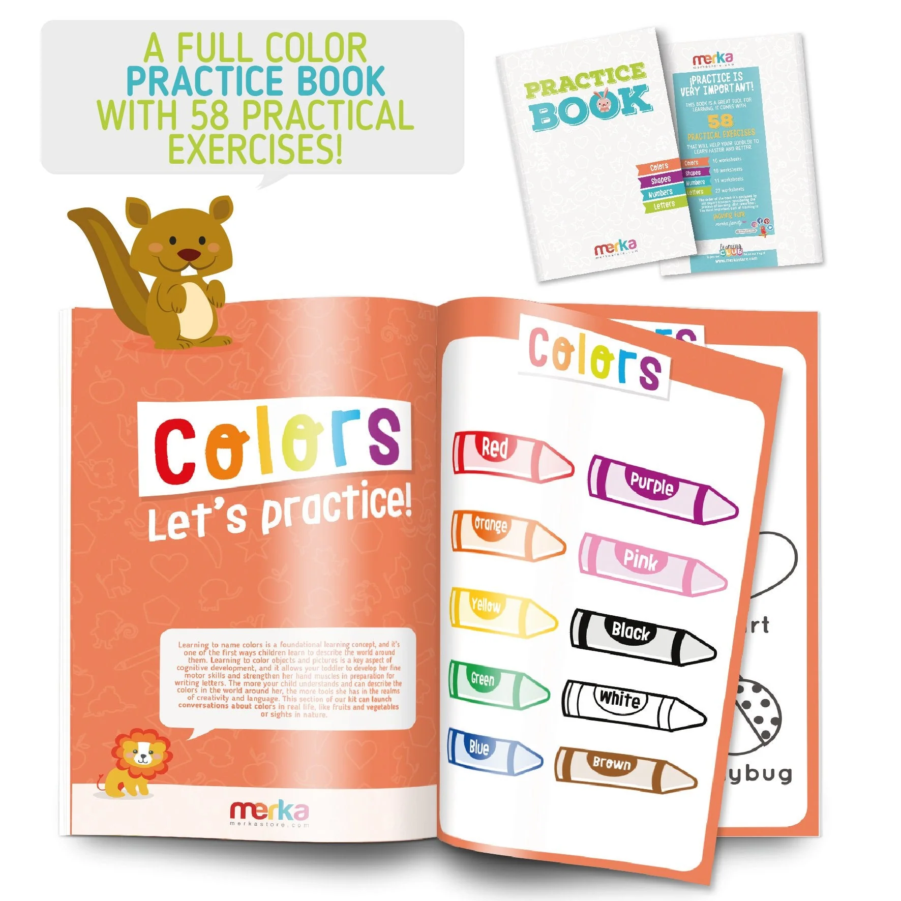 Merka Toddler Learning Kit: Posters, Flashcards, Book and Stickers - 18M+ - Image 3