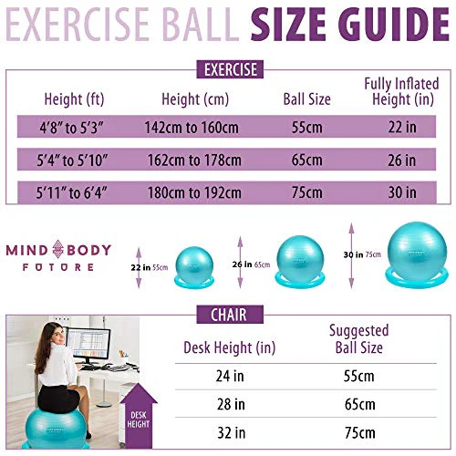 Mind Body Future Exercise Yoga Pregnancy Ball with Stability Ring & Pump - Image 6