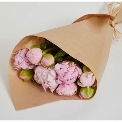 Jumbo Florist Recycled Brown Paper Art Roll 229m - Image 2