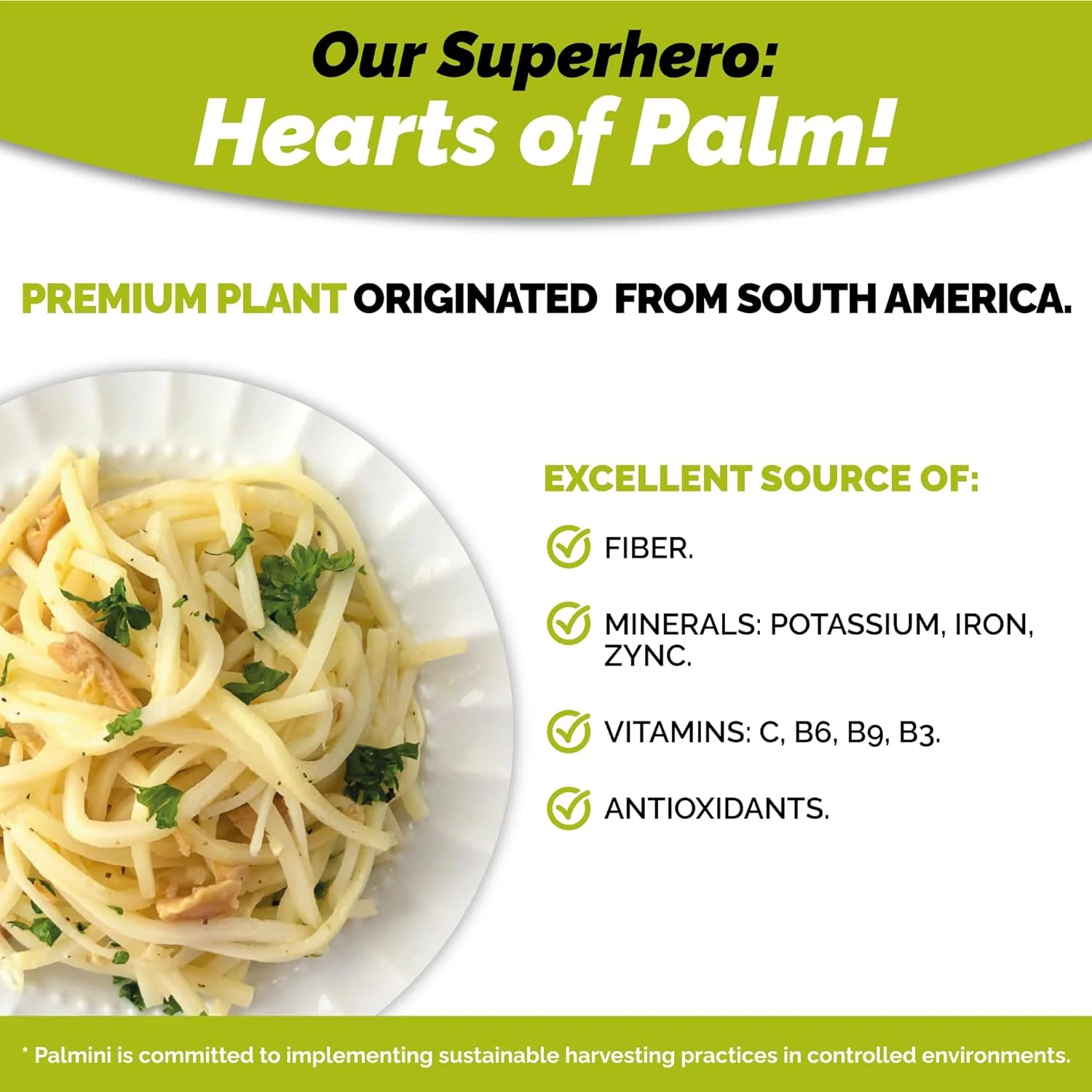 Palmini Low Carb Keto Linguine - 5 x 340g - Image 6
