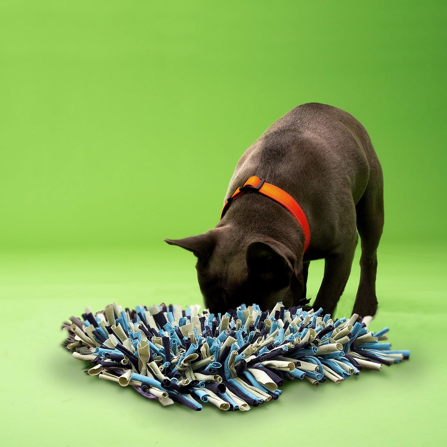 Paw 5 Snuffle Mat for Dogs (30 x 45cm) Toy for Smell Training & Slow Eating - Image 3