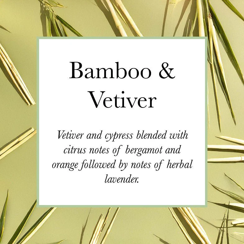 Pecksniff's Bamboo & Vetiver Eau De Toilette 100ml - Image 2