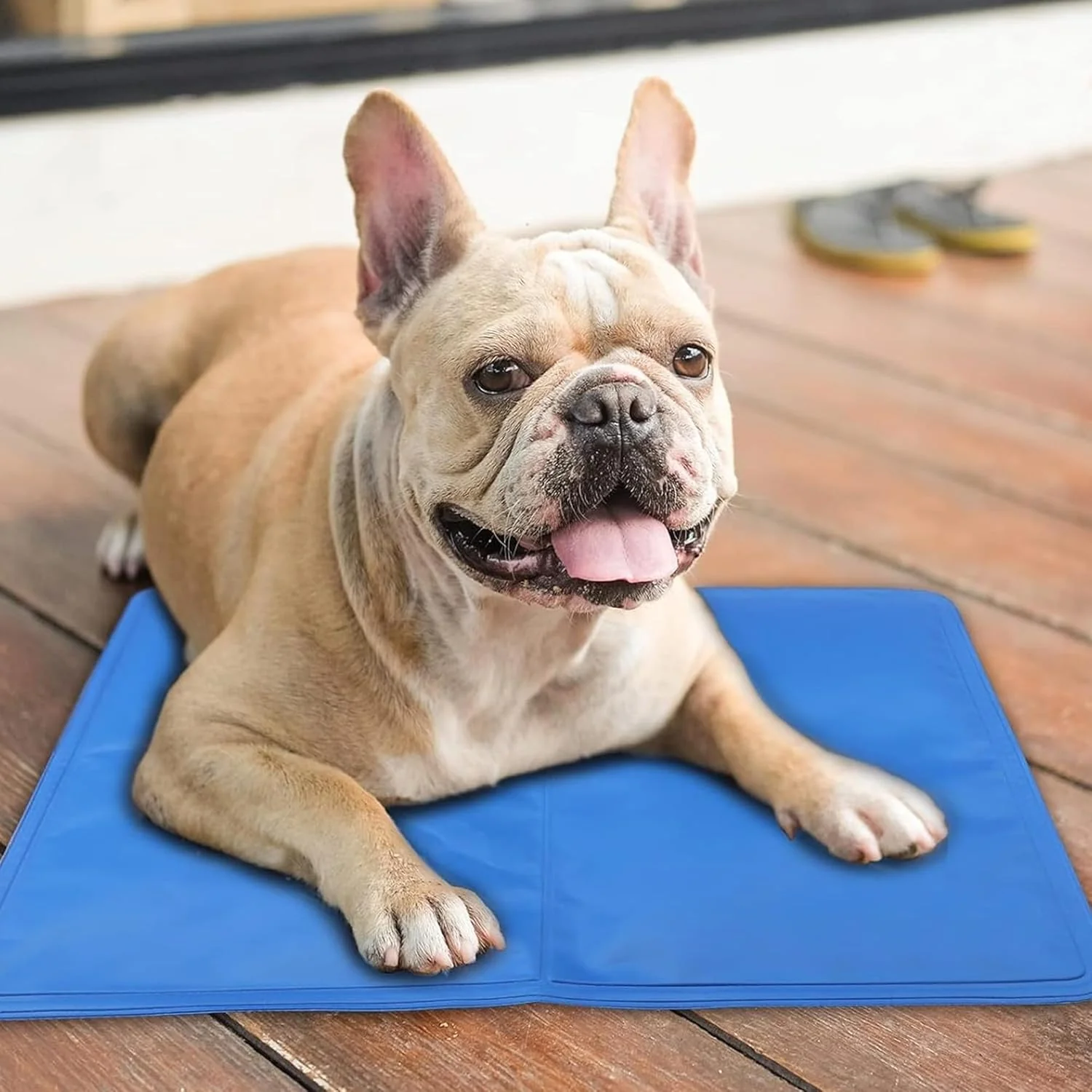 Pet Cooling Gel Pillow - Medium (30x40 CM) - Image 3