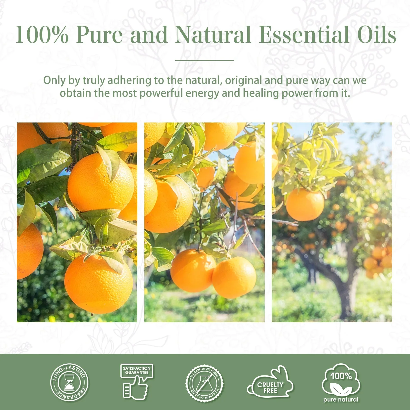 PHATOIL Comfort Blend Essential Oil Bundle - 100ml X3 - Image 6