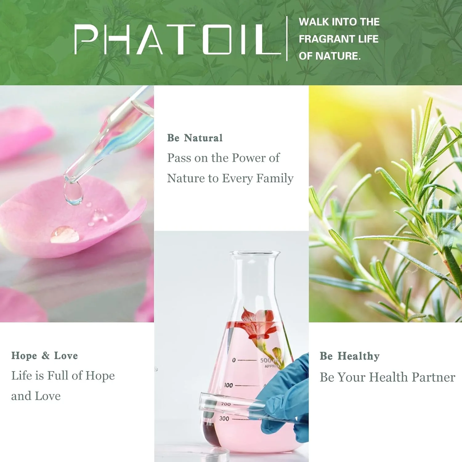 PHATOIL Sandalwood Pure Aromatherapy Essential Oil - 100ml - Image 7