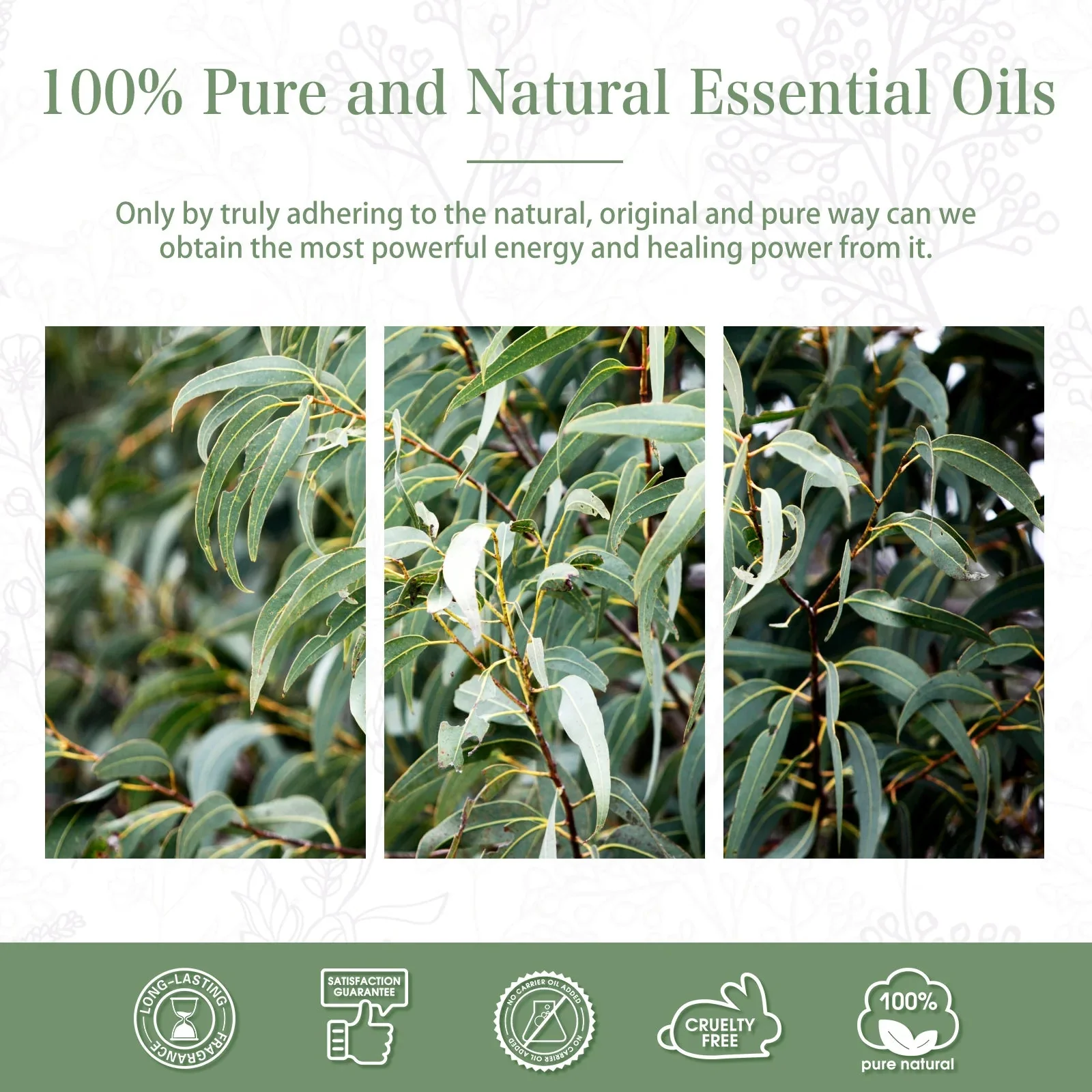 PHATOIL Eucalyptus Essential Oil For Aromatherapy & Diffuser - 100ml - Image 4