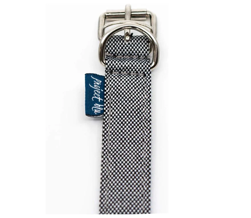 Project Blu Adriactic Grey Dog Collar - Image 2