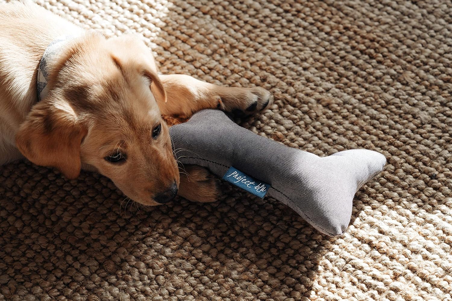 Project Blu Eco-Friendly Dog Toy - Adriatic Grey - Image 2