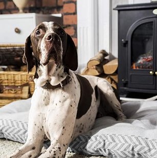 Project Blu Eco Friendly Dog Mattress - Goa Grey - Medium 70cm x 50cm - Image 4
