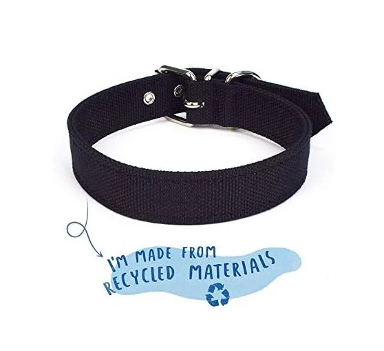 Project Blu Elbe Black Dog Collar - XS - Image 4