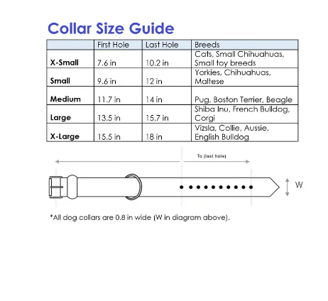Project Blu Eleather + Duratex Black Dog Collar - Medium 30-36cm - Image 3
