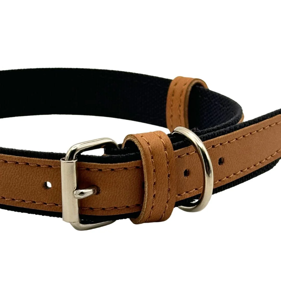 Project Blu Florence Collar (Tan) - Image 3