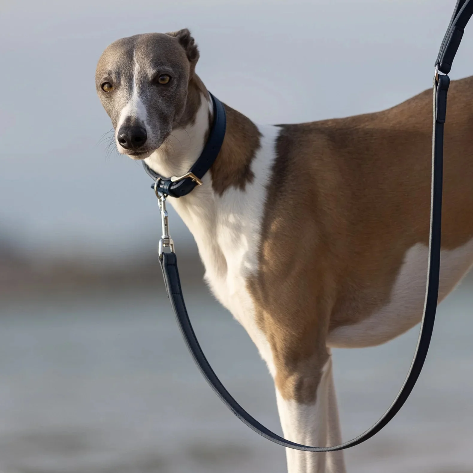 Project Blu Laguna Blue Leather Dog Leash 110 cm X 2.0 cm - Image 2