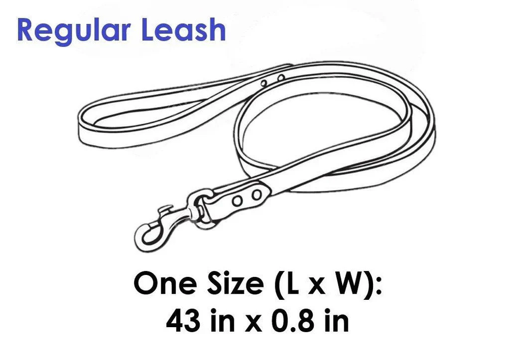 Project Blu Laguna Blue Leather Dog Leash 110 cm X 2.0 cm - Image 3