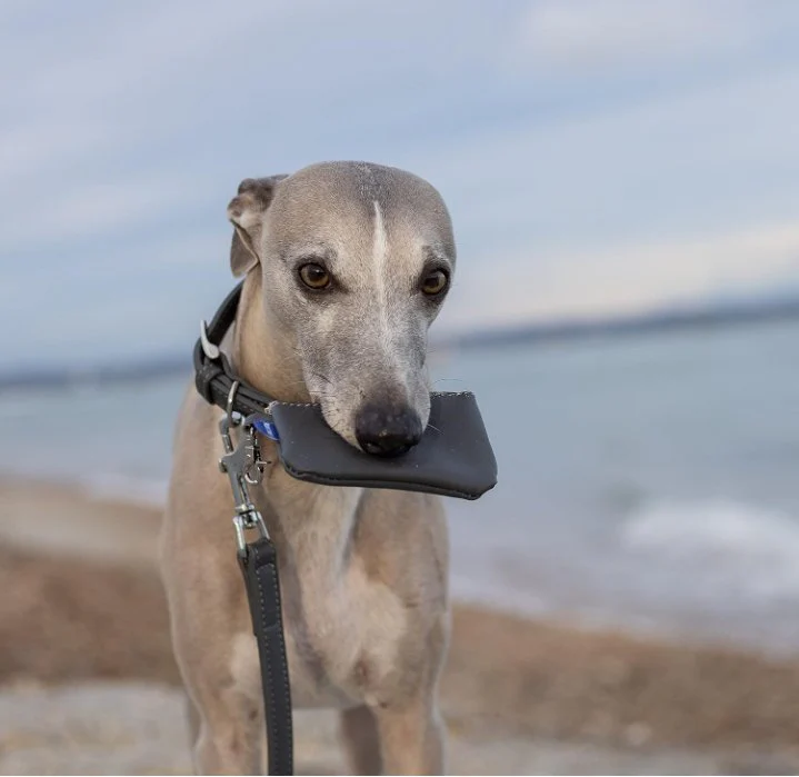 Project Blu Malibu Grey Leather Dog Poop Bag Holder - Image 2