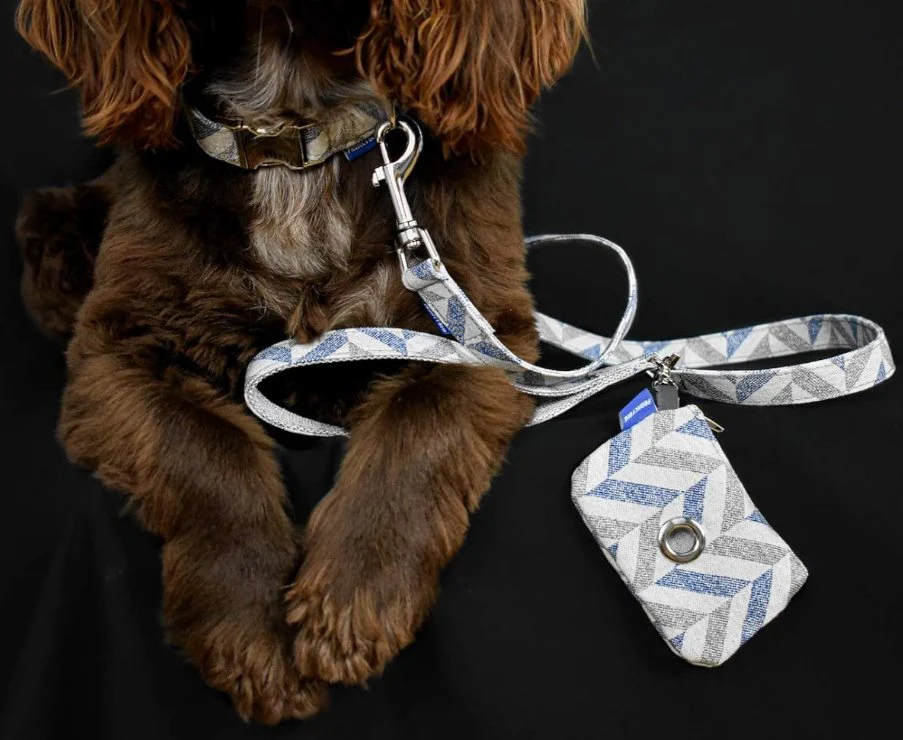 Project Blu Rio Grey Blue Fabric Dog Leash - 110cm - Image 2