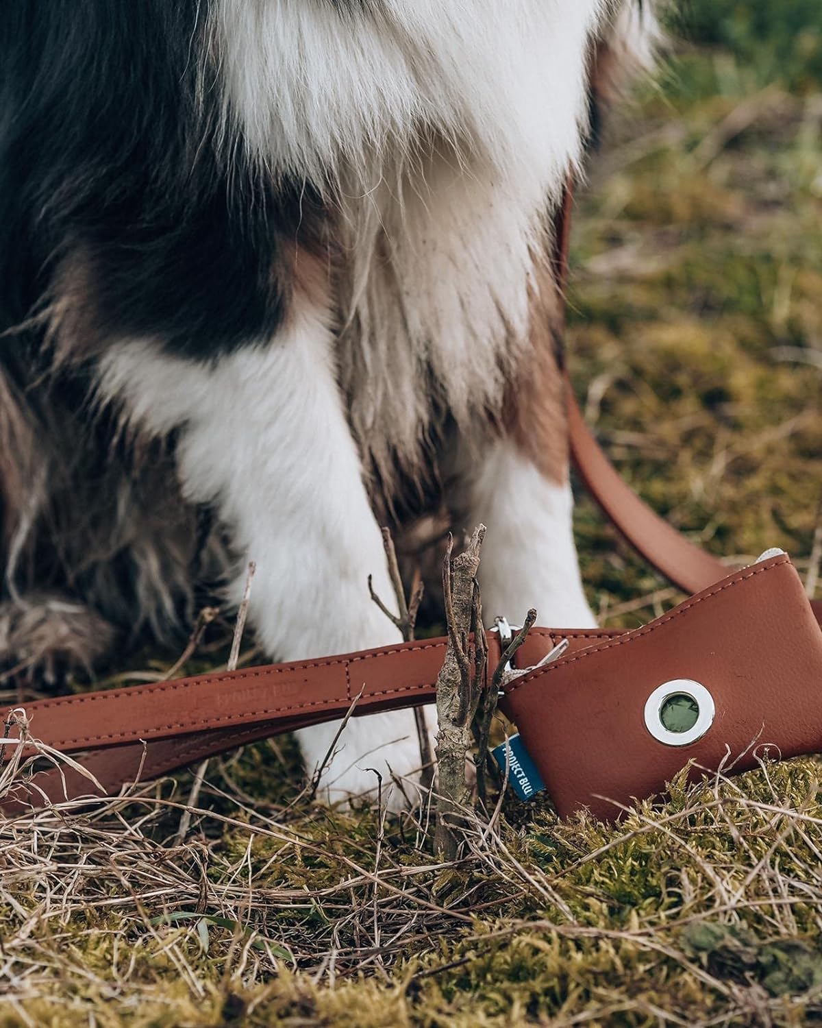 Project Blu Tan Leather Dog Poop Bag Holder - Hamilton - Image 3