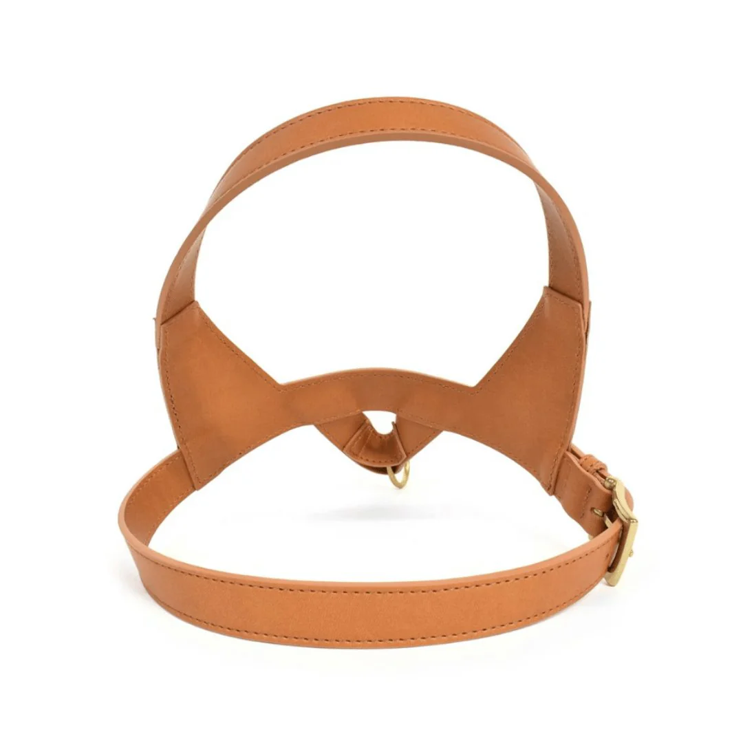 Project Blu Tyrol Tan Leather Dog Harness - Image 2