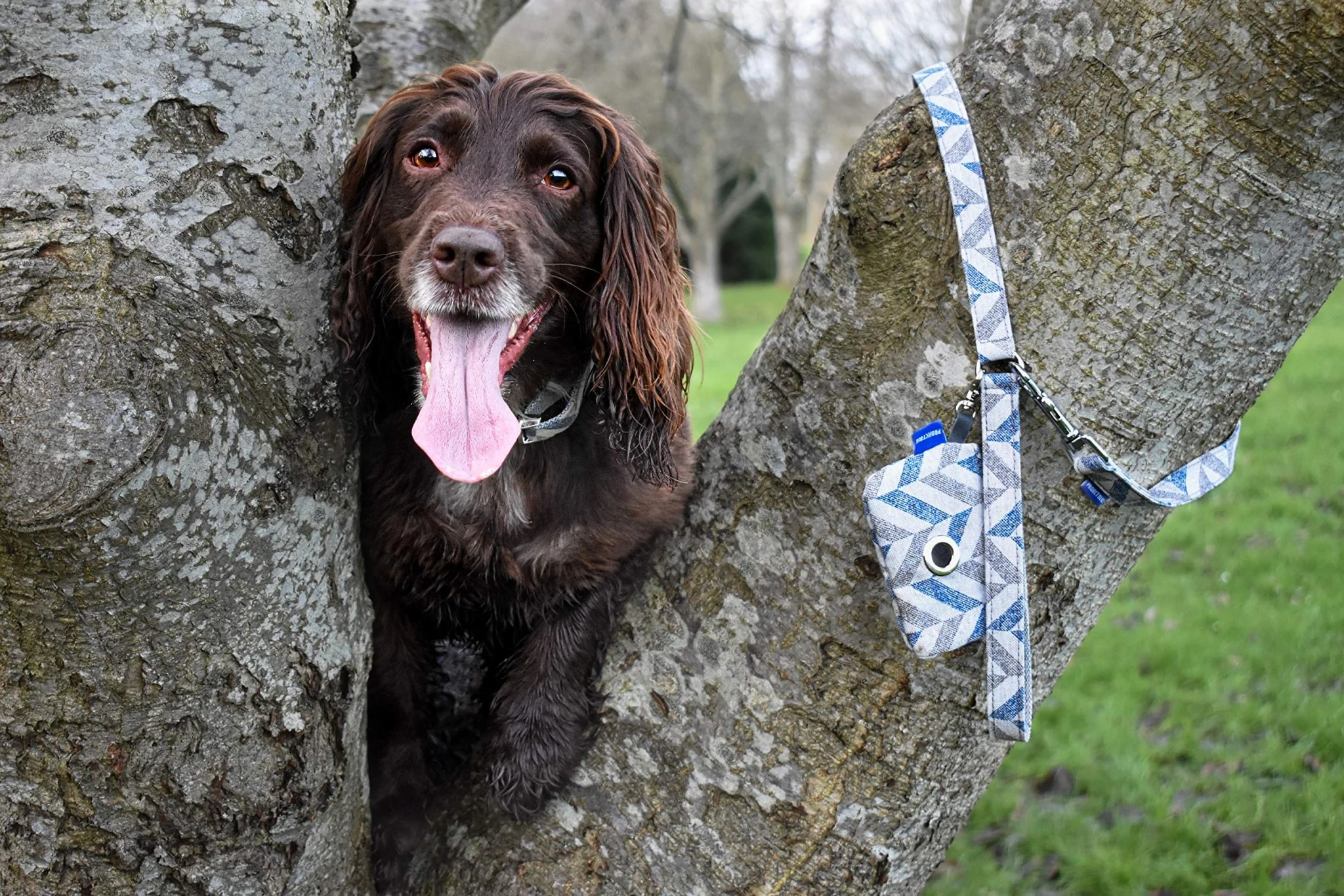 Project Blue Eco Friendly Dog Poop Bag - Rio Blue - Image 3