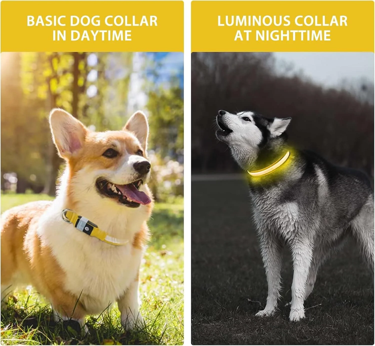 Rechargeable & Adjustable LED Dog Collar - Red (Medium 40-48cm) - Image 4
