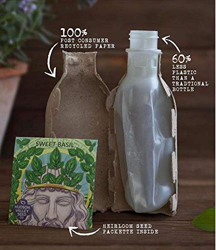 Seed Phytonutrients Lightweight Conditioner (For Normal to Fine Hair) 250ml - Image 3