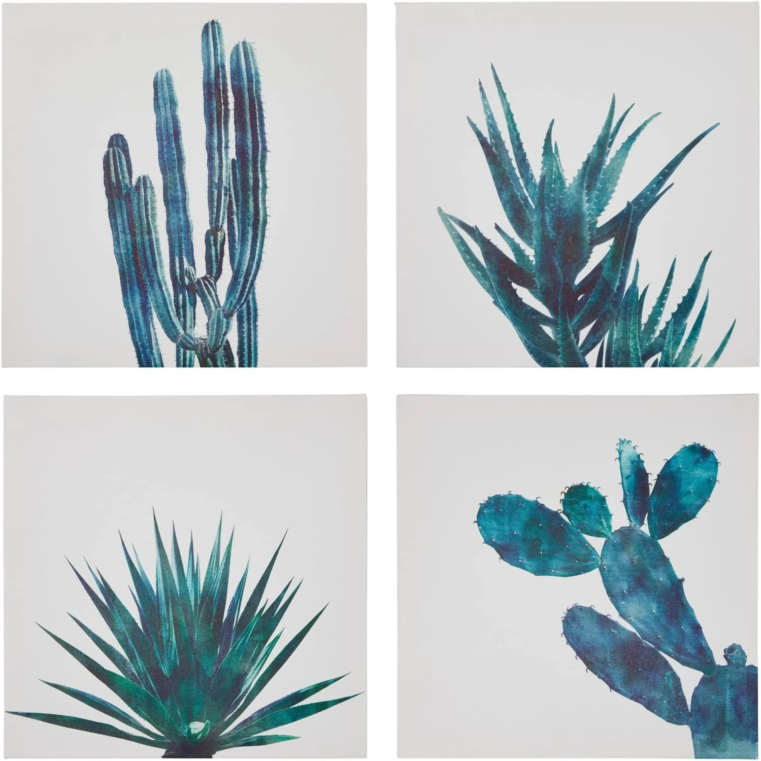 Set of 4 Succulent Wall Art Canvas Prints (12 x 12)