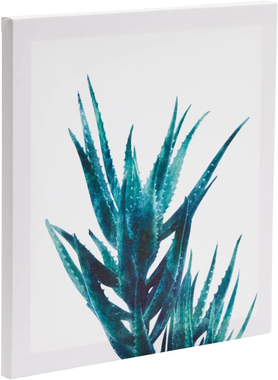 Set of 4 Succulent Wall Art Canvas Prints (12 x 12) - Image 7