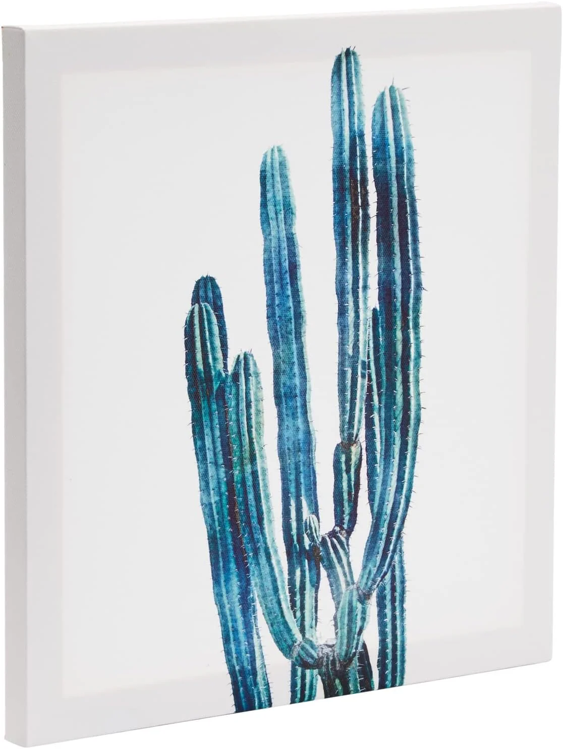 Set of 4 Succulent Wall Art Canvas Prints (12 x 12) - Image 8