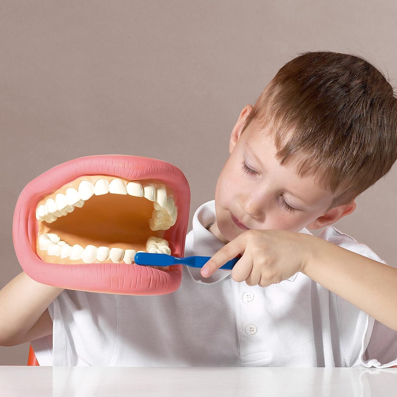 Tickit Giant Teeth Demonstration Set - Kids Teeth Brush Teaching - Image 2