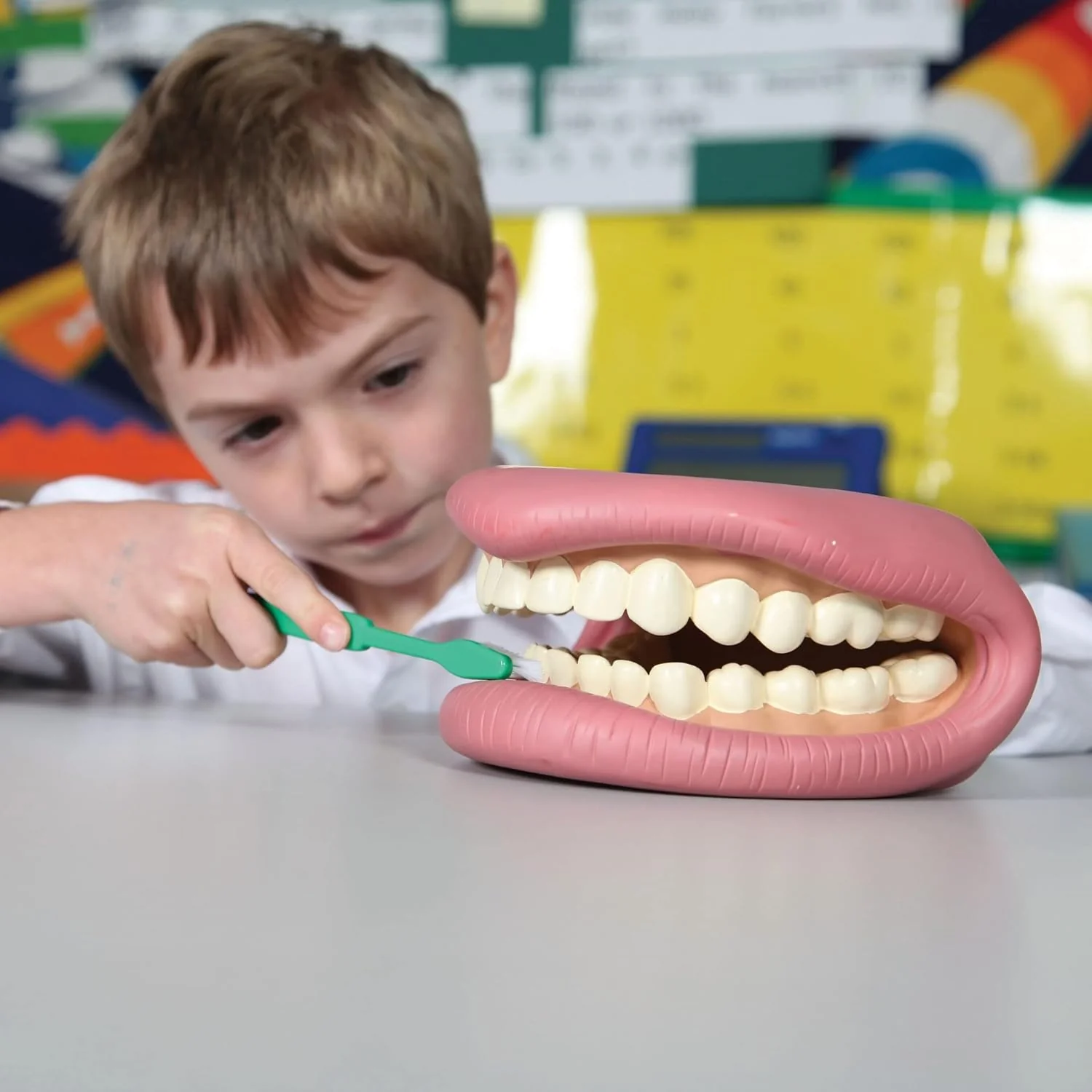 Tickit Giant Teeth Demonstration Set - Kids Teeth Brush Teaching - Image 3