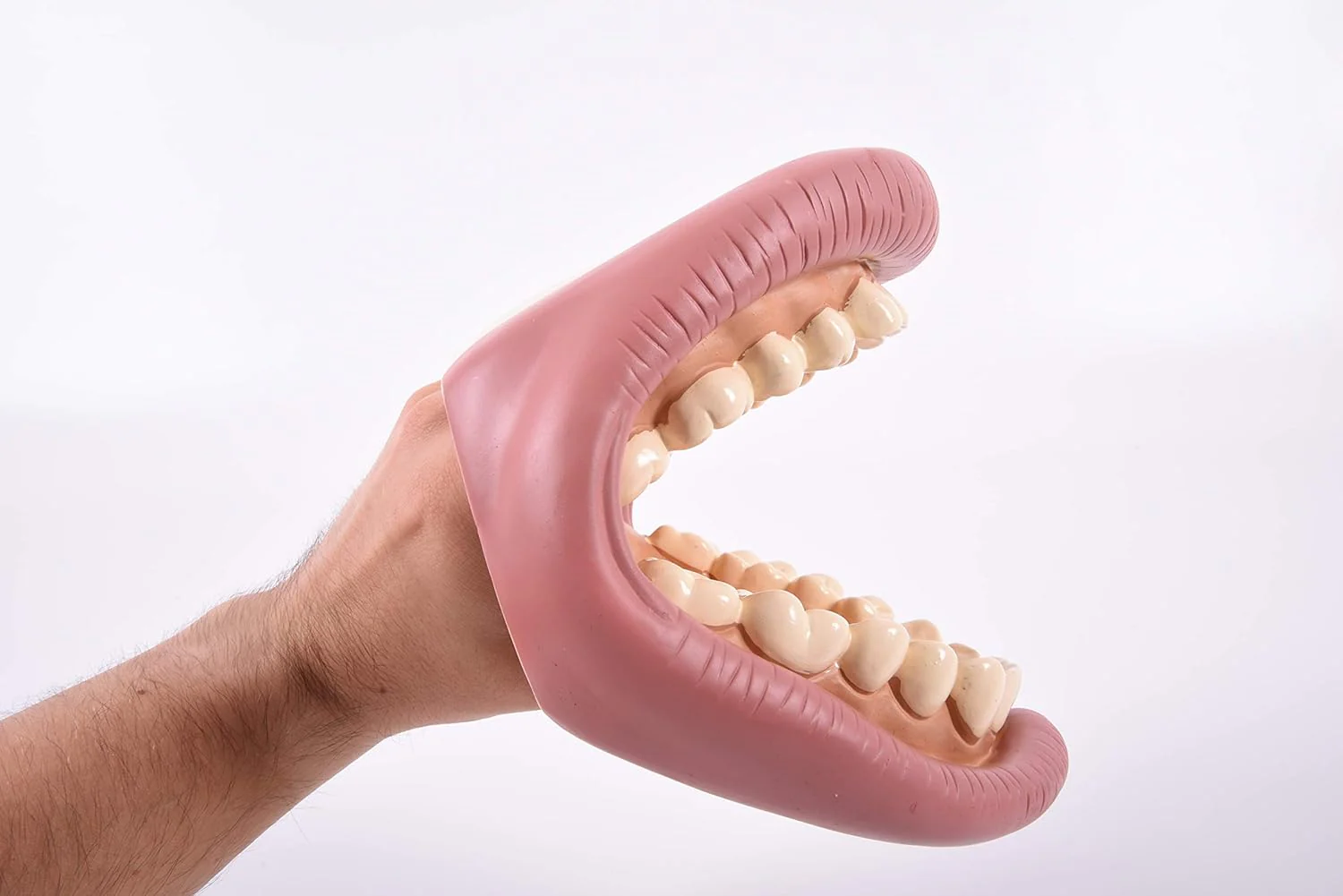 Tickit Giant Teeth Demonstration Set - Kids Teeth Brush Teaching - Image 5