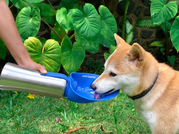 Tuff Pupper PupFlask Dog Water Bottle - 800ml 27oz (Blue) - Image 6