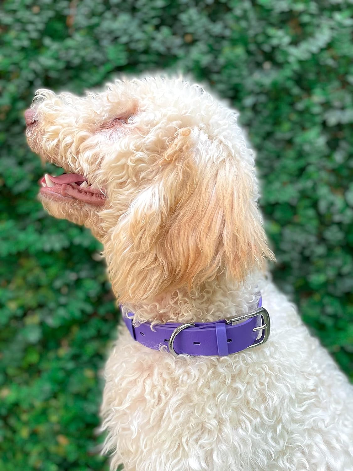 Tuff Pupper Classic Heavy Duty Dog Collar Purple - Medium - Image 3