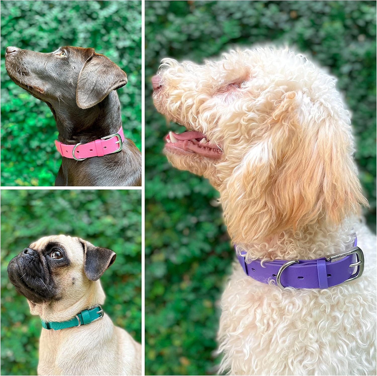 Tuff Pupper Classic Heavy Duty Dog Collar Purple - Medium - Image 8