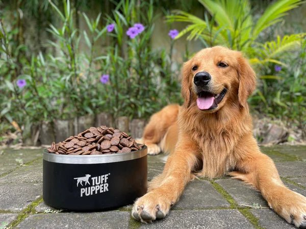 Tuff Pupper Heavy Duty Insulated Bowl for Large Dogs - 100oz (Black) - Image 4
