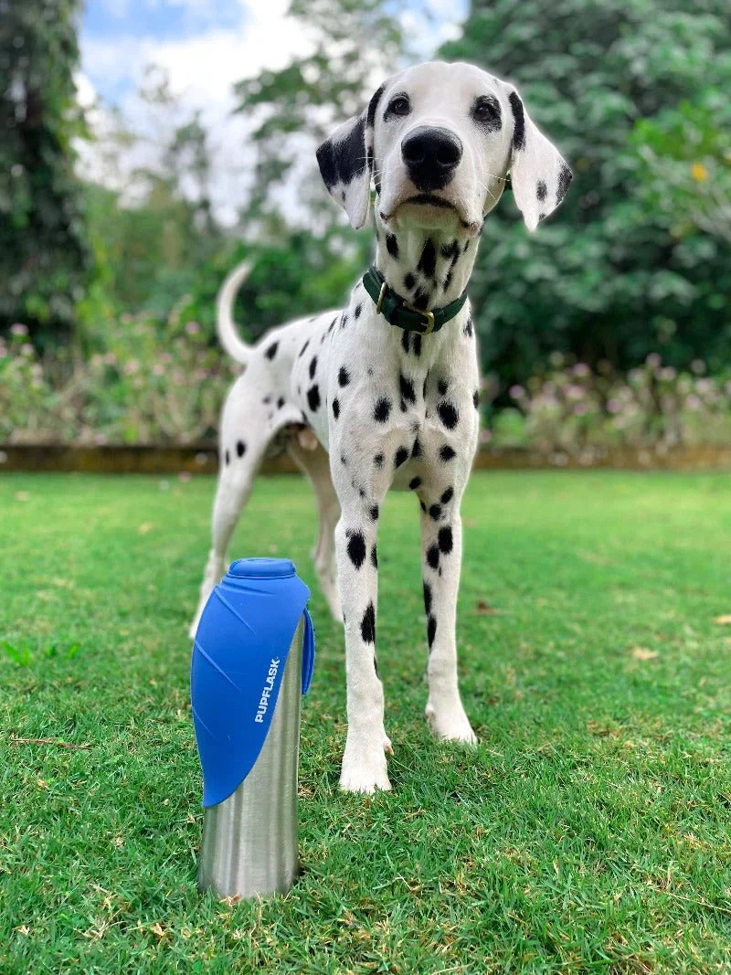 Tuff Pupper PupFlask Dog Water Bottle - 1.2 litre (Blue) - Image 3