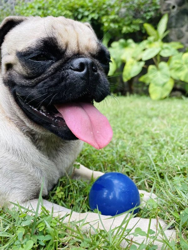 Tuff Pupper Super Chewy Ultra Ball - small Blue - Image 2